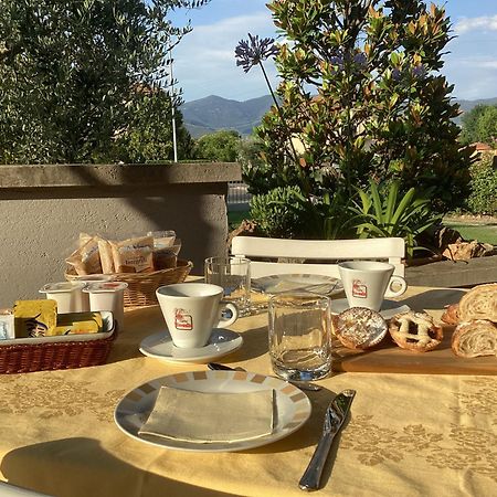 Villa Orsini - A Retreat In Pisa - Food And Relax 외부 사진