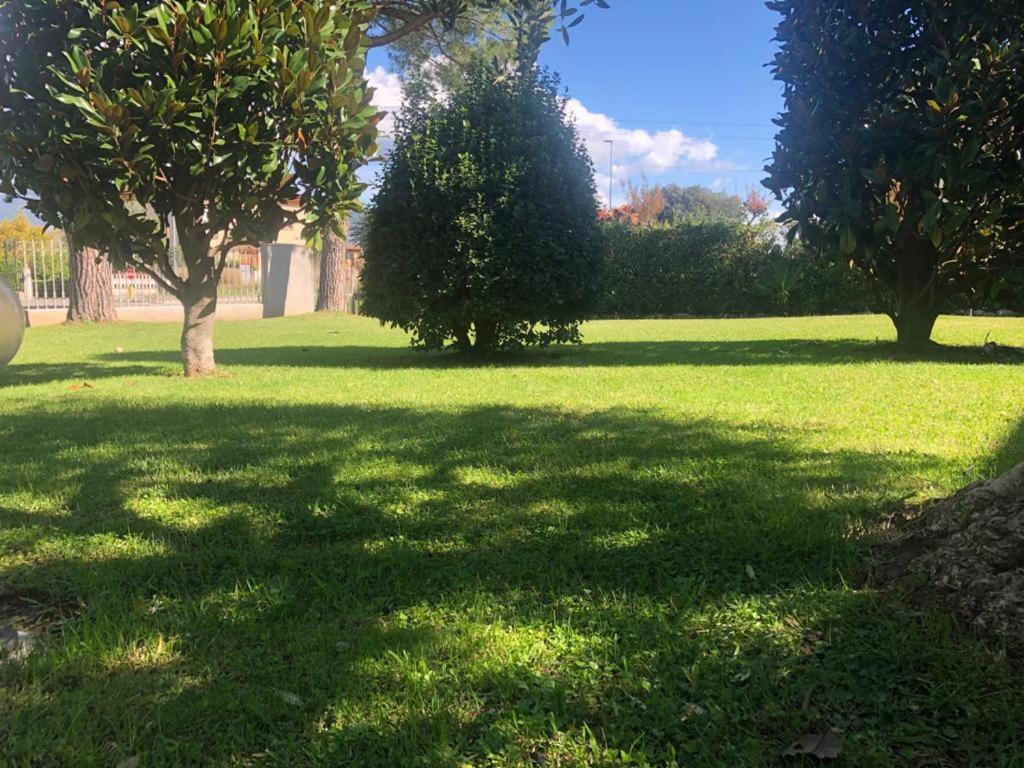 Villa Orsini - A Retreat In Pisa - Food And Relax 외부 사진